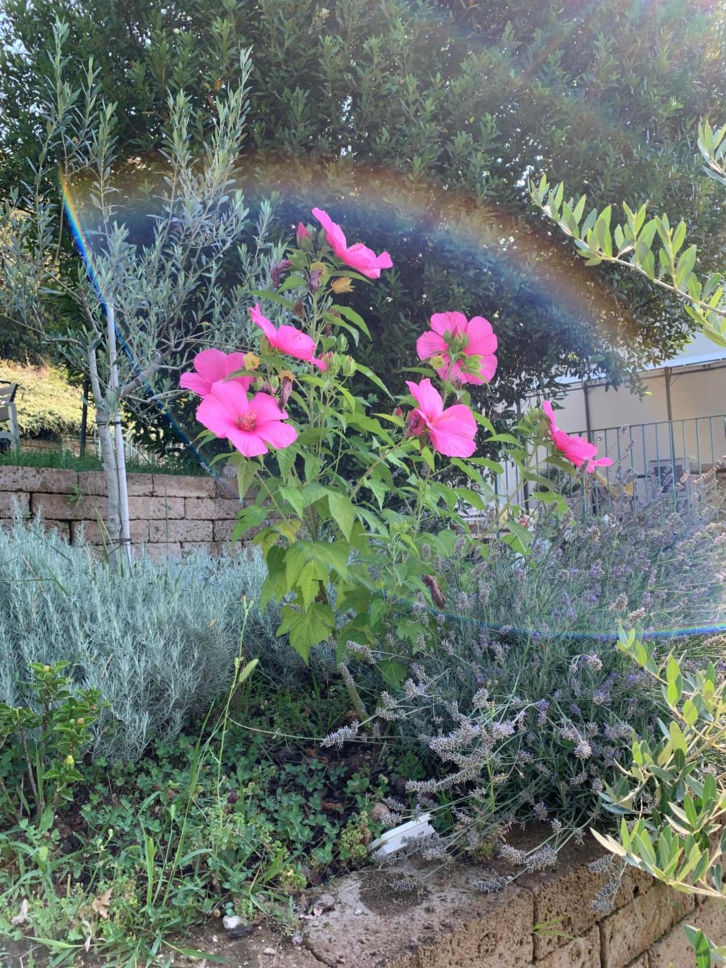 Relais Il Pigno - Photo 194