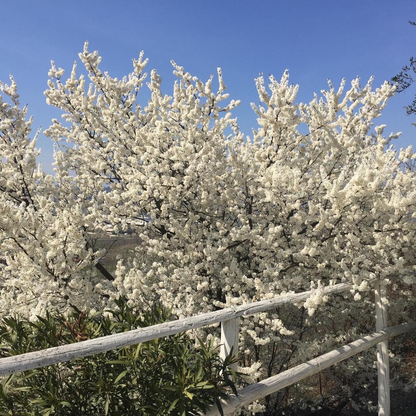 Relais Il Pigno - Photo 196