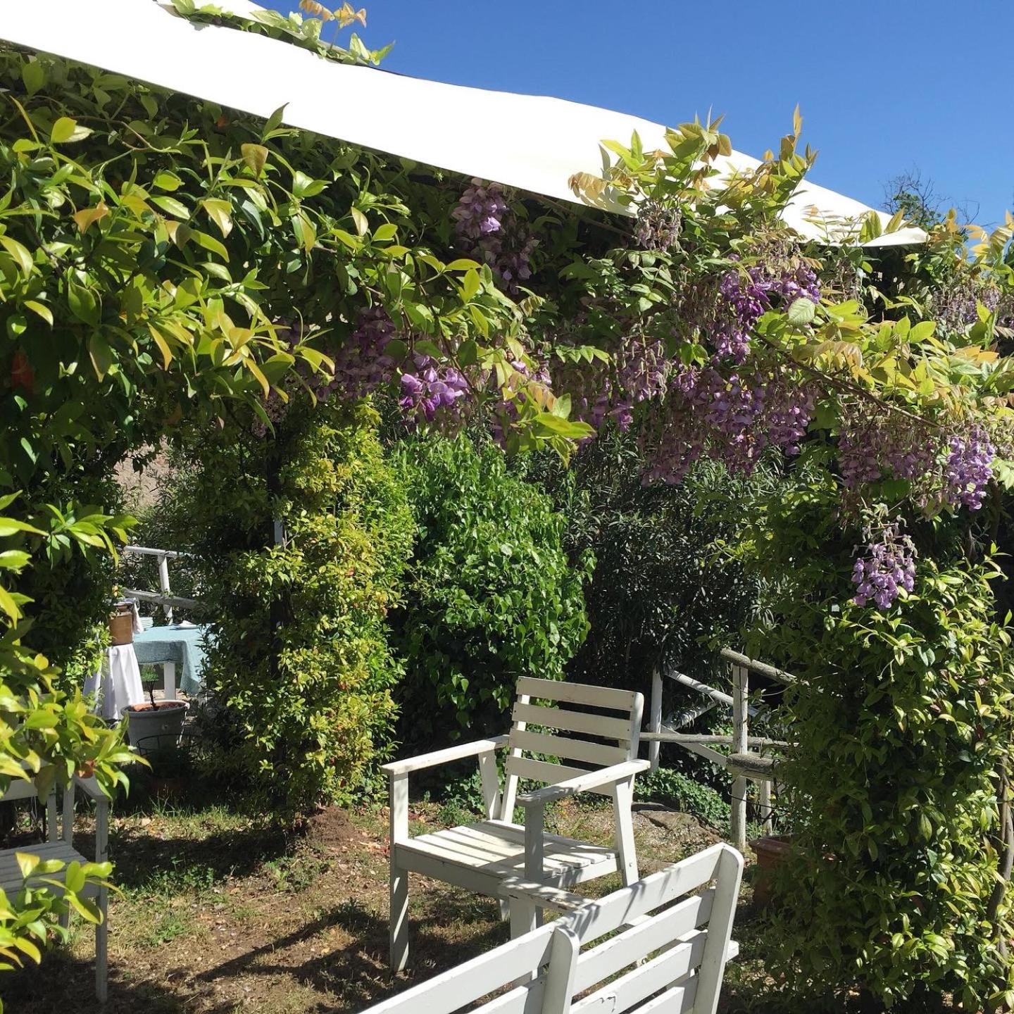 Relais Il Pigno - Photo 195