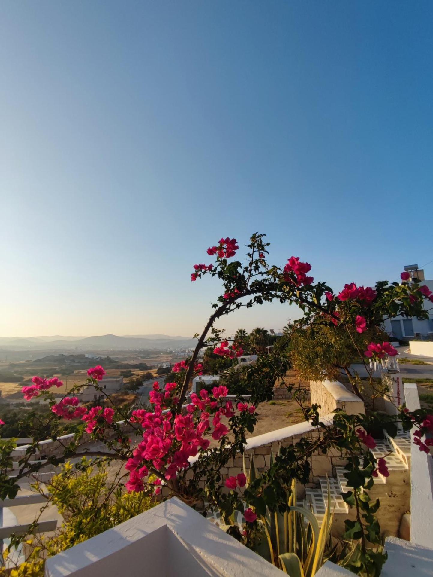 Agnanti Hotel - Photo 5