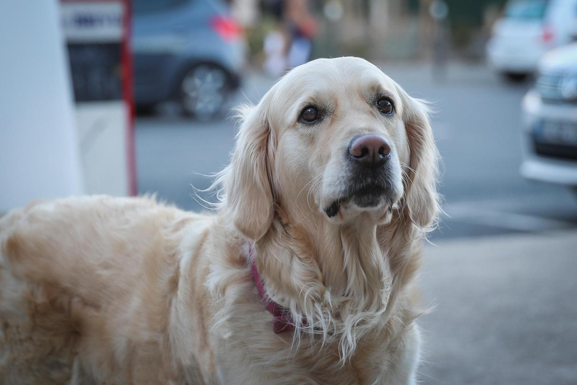 Hôtel La Réserve de Brive - Photo 60