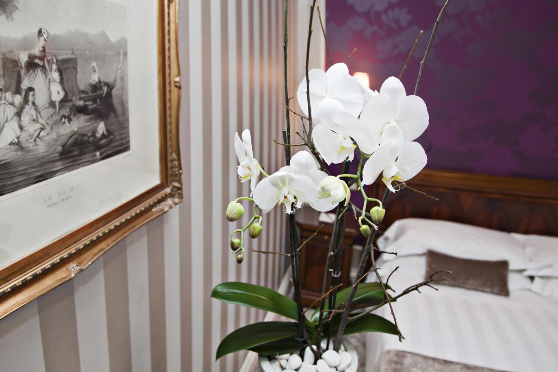 Albergo Terminus - Photo 49