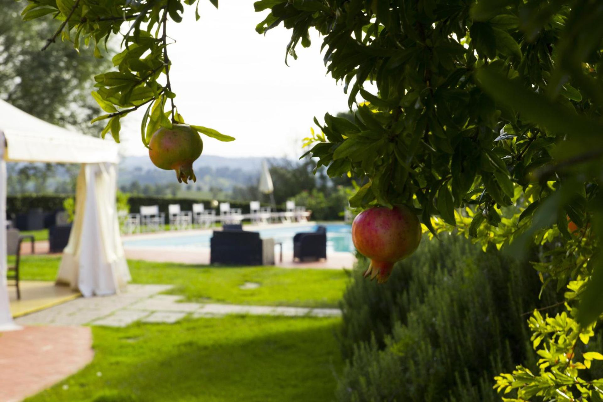 Agriturismo Marrucola - Photo 69