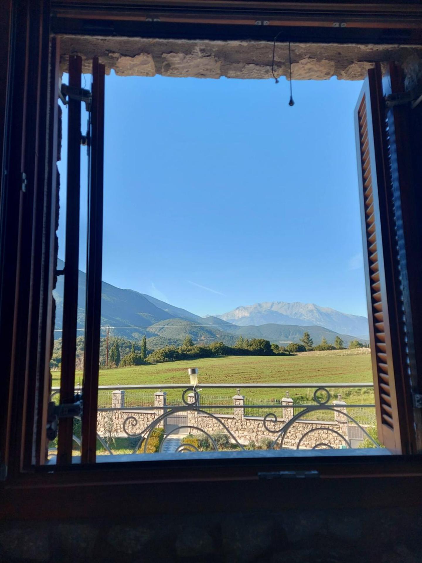 Xenios Petritis - Photo 4