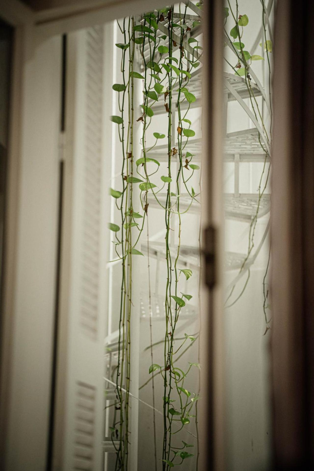 The Zillers Boutique Hotel - Photo 17