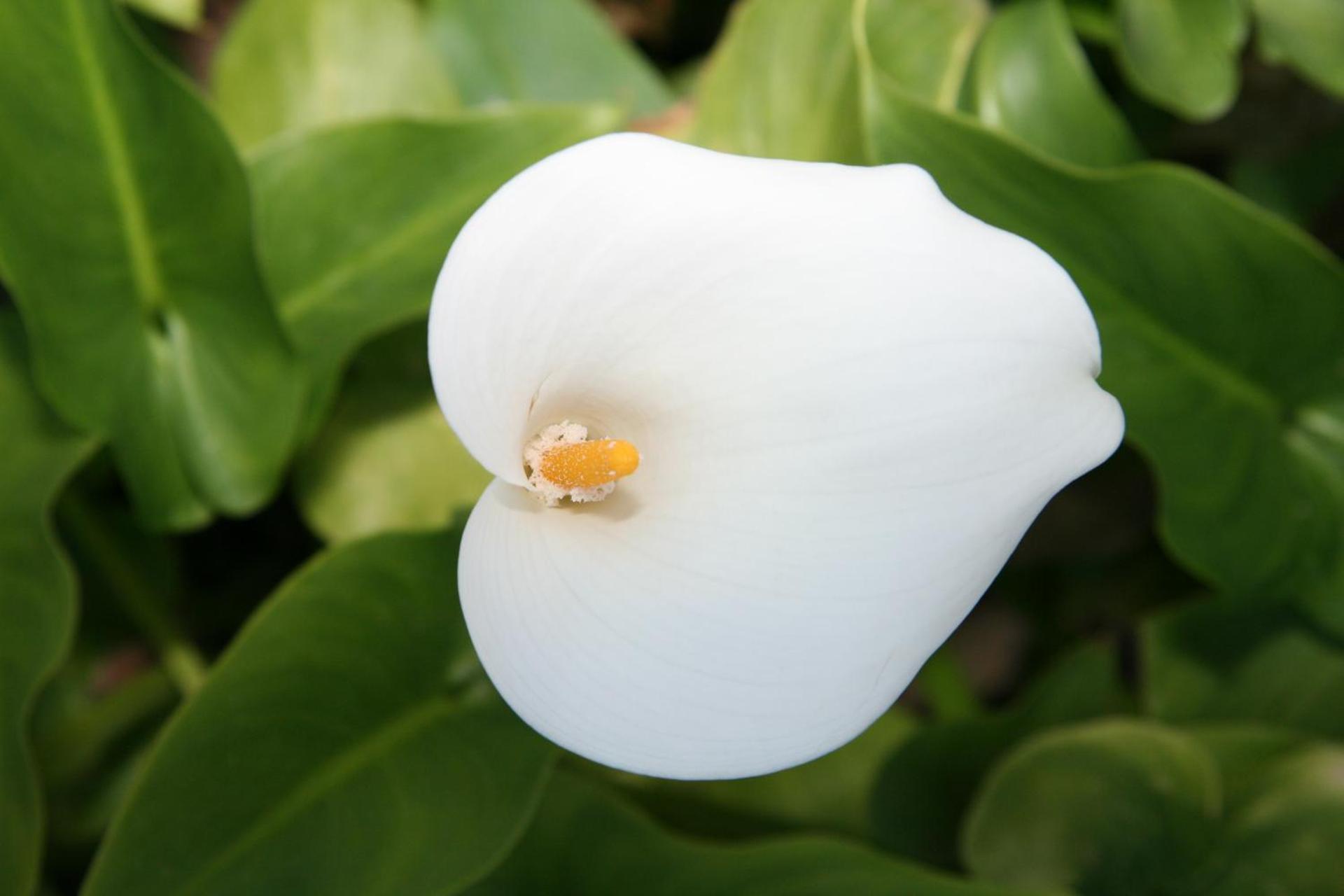 Marirena Hotel - Photo 10