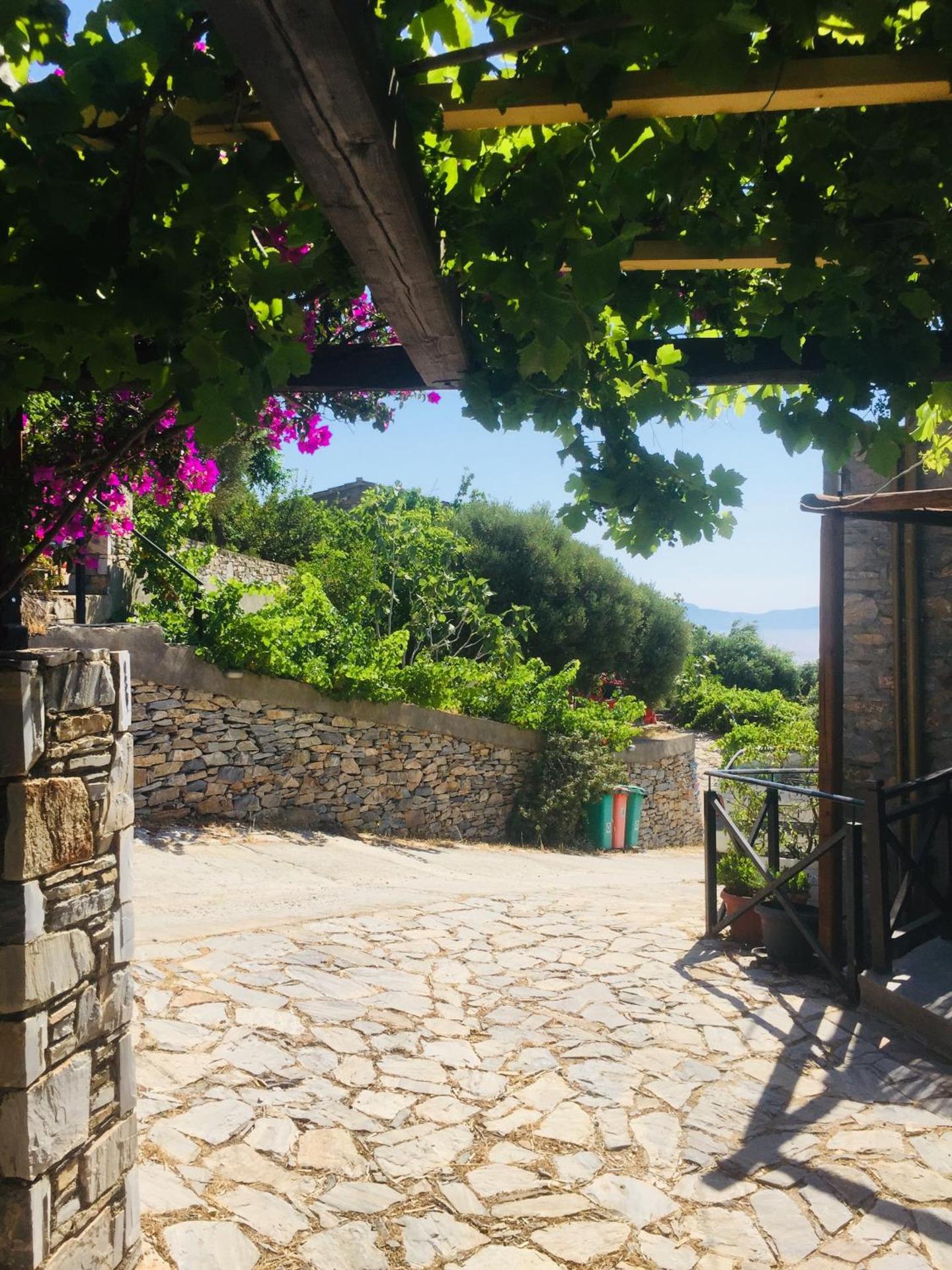 Pyrgos Traditional Village - Photo 120