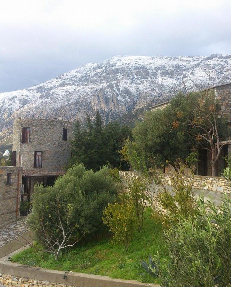 Pyrgos Traditional Village - Photo 119