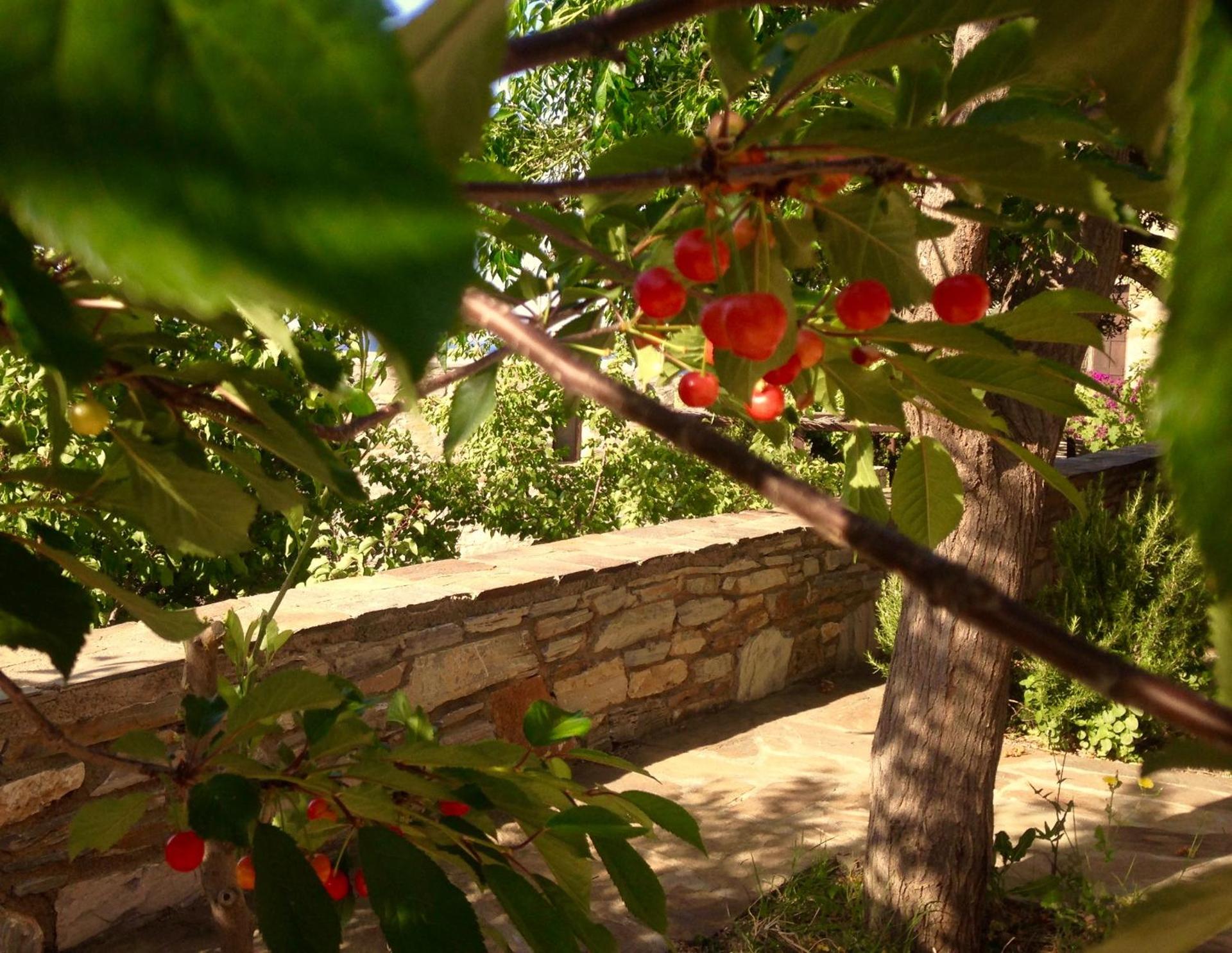 Pyrgos Traditional Village - Photo 123