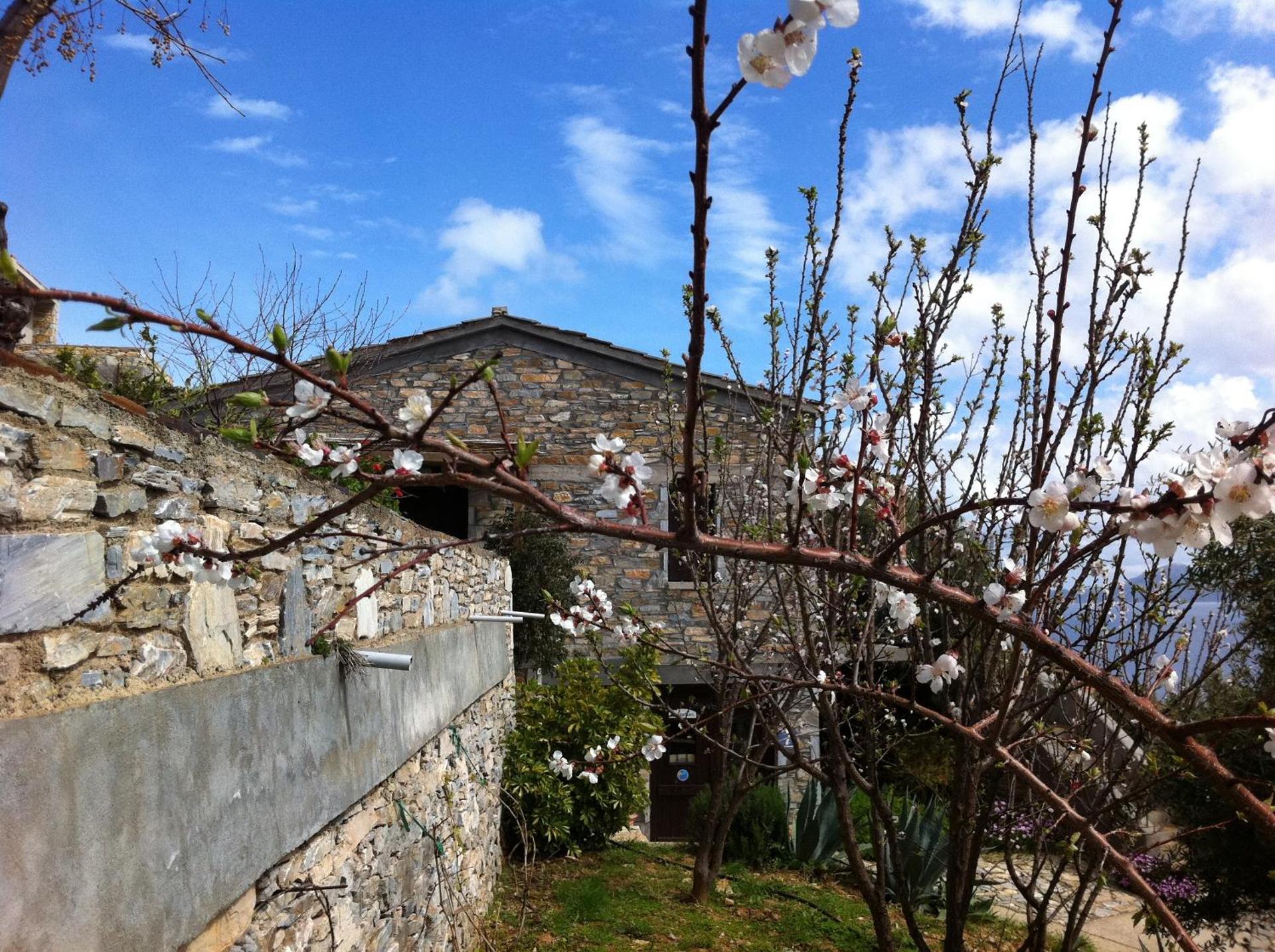Pyrgos Traditional Village - Photo 122