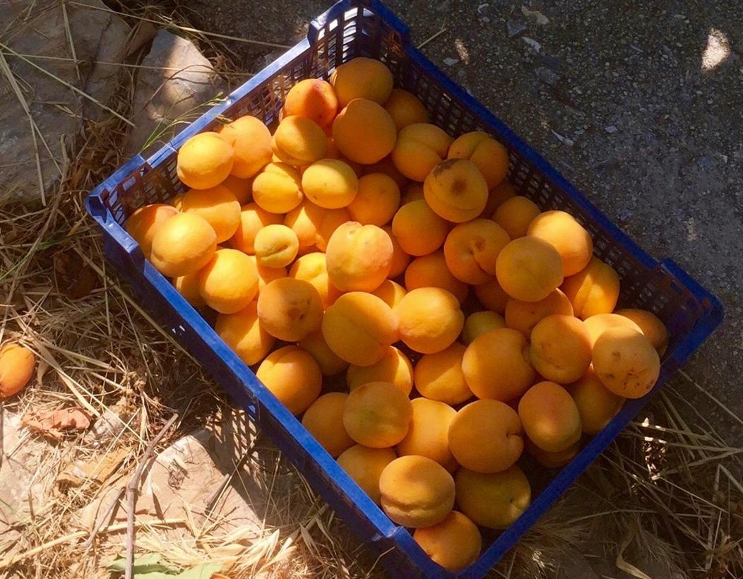 Pyrgos Traditional Village - Photo 125