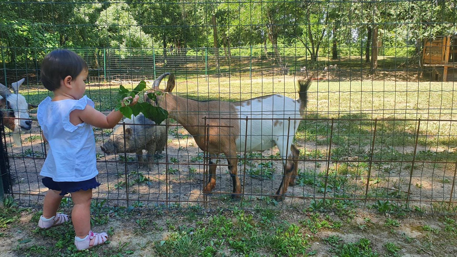 Villa Julia - Photo 29