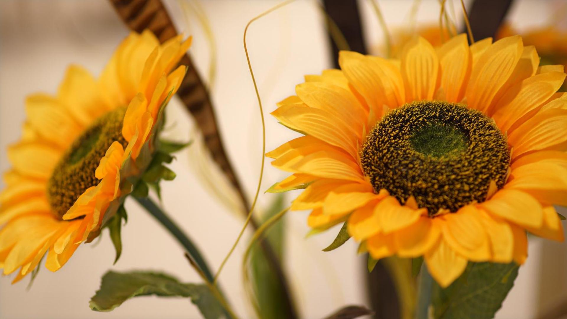 Garden Hotel - Photo 20