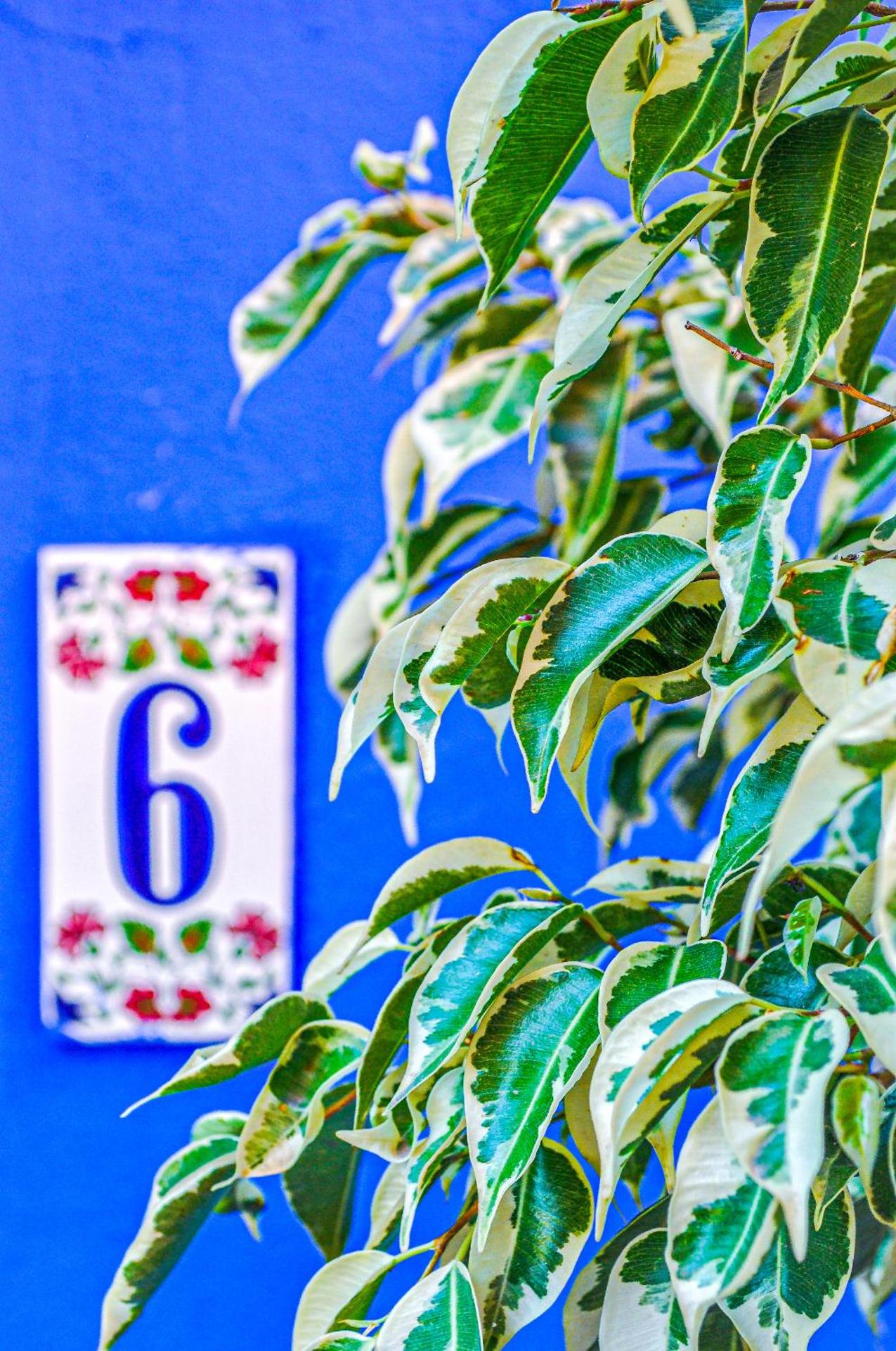 Symi Garden Studios - Photo 138
