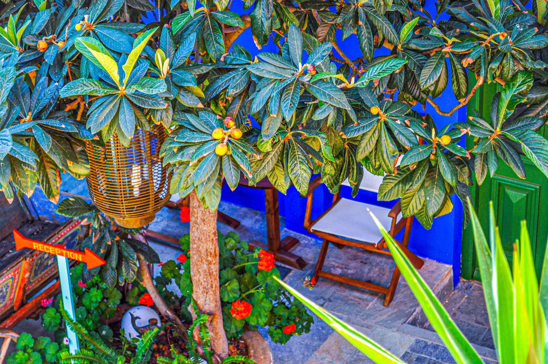 Symi Garden Studios - Photo 118