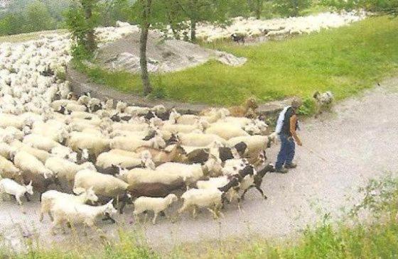 Il Pentagono - Photo 99