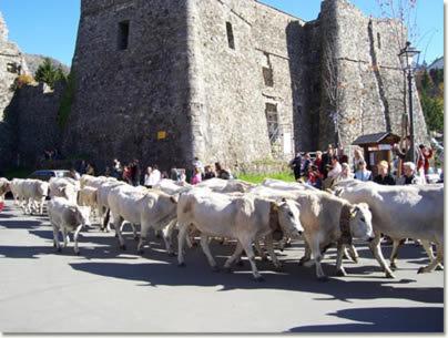 Il Pentagono - Photo 97