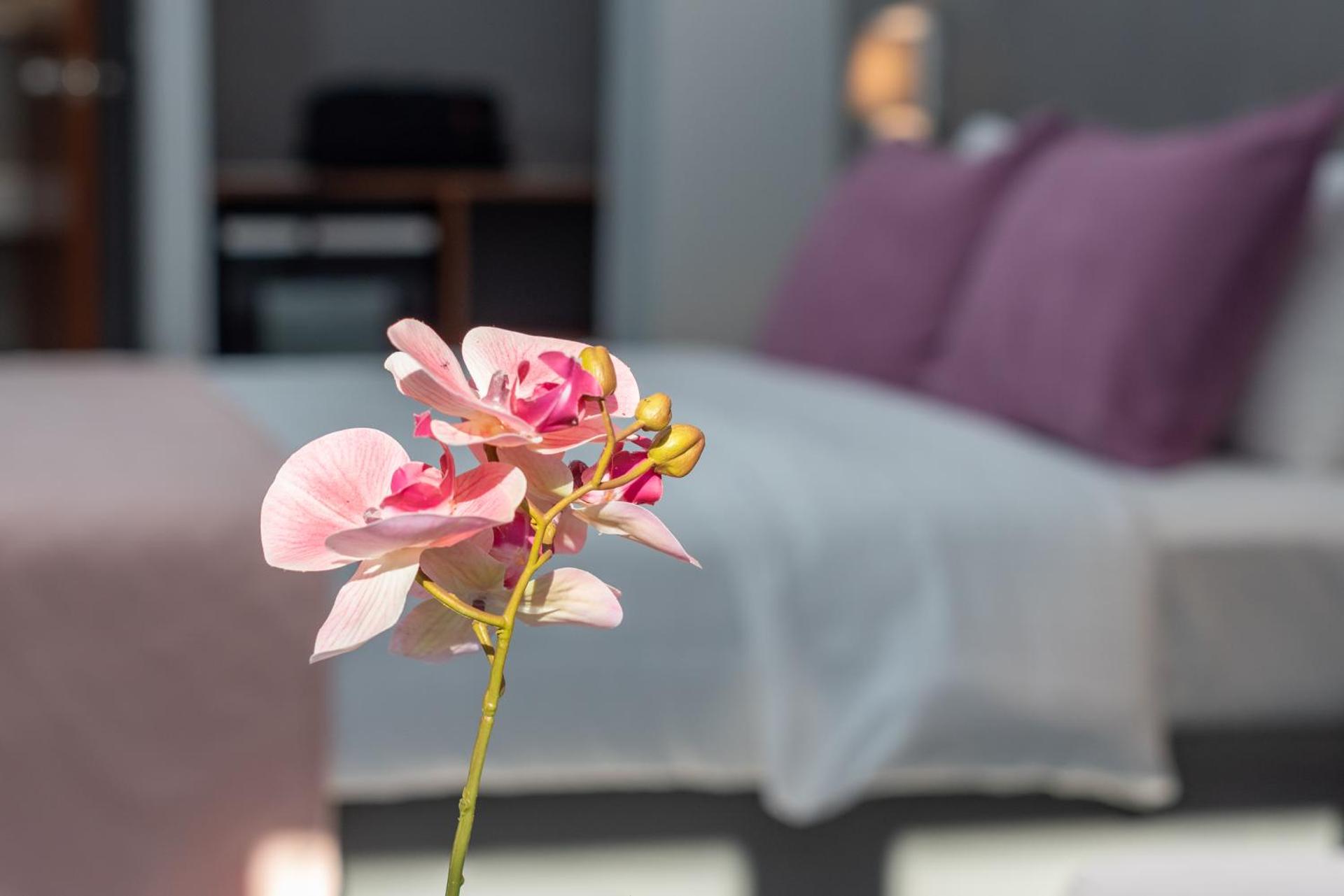 Poseidonio - Photo 18