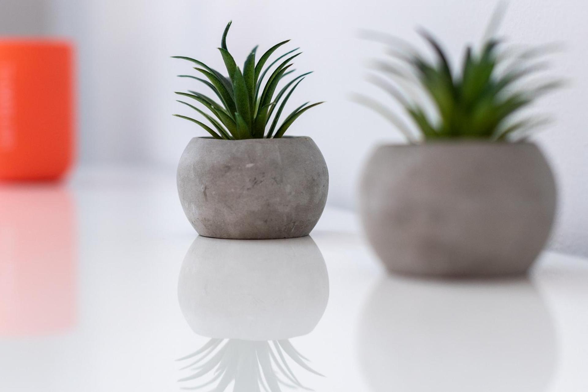 Poseidonio - Photo 25