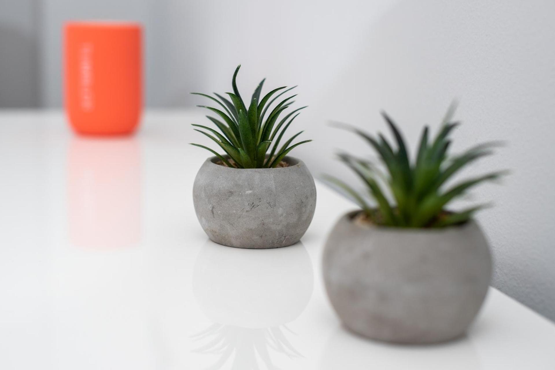 Poseidonio - Photo 27