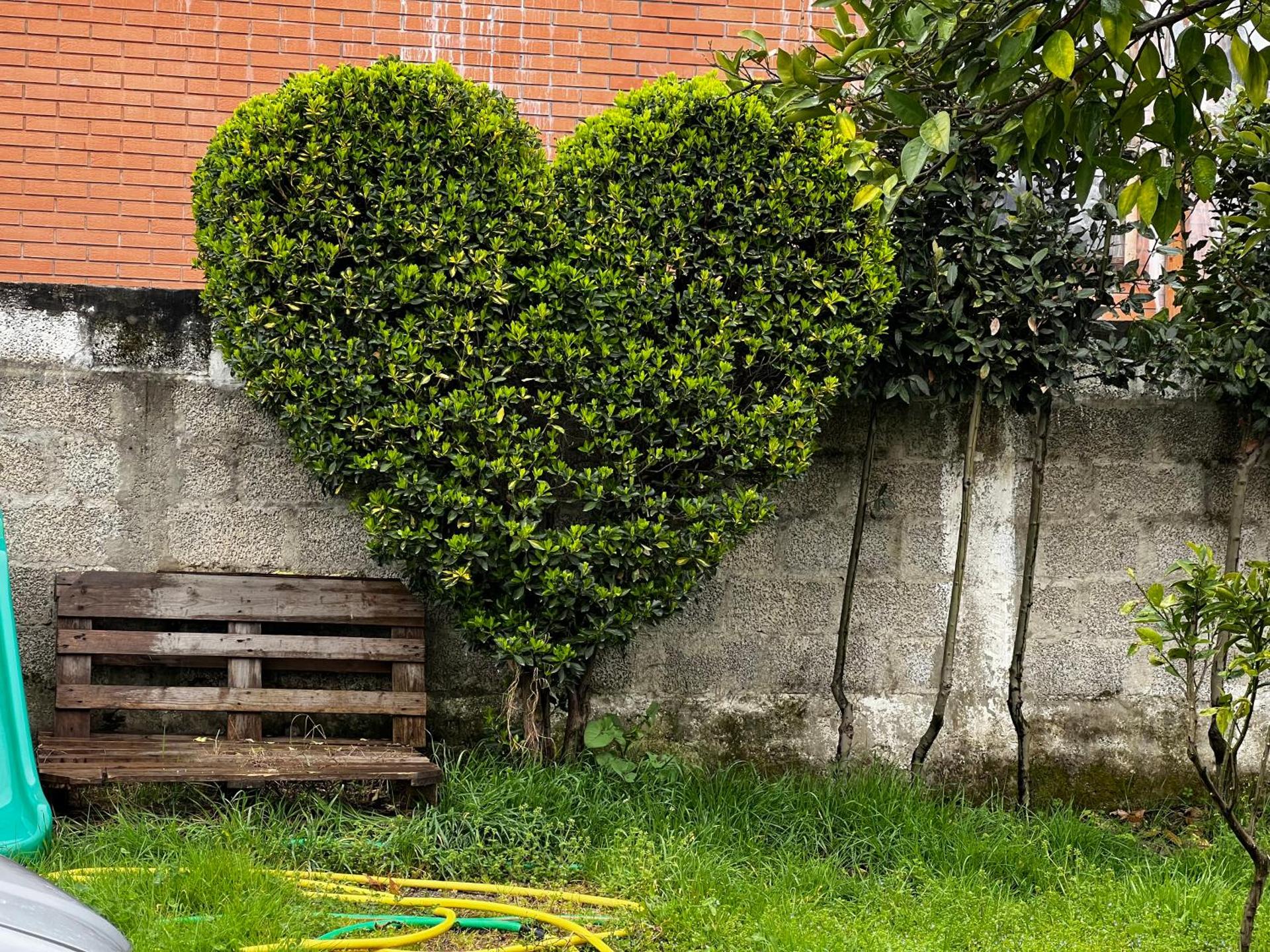 Chateau Sukaj - Photo 41