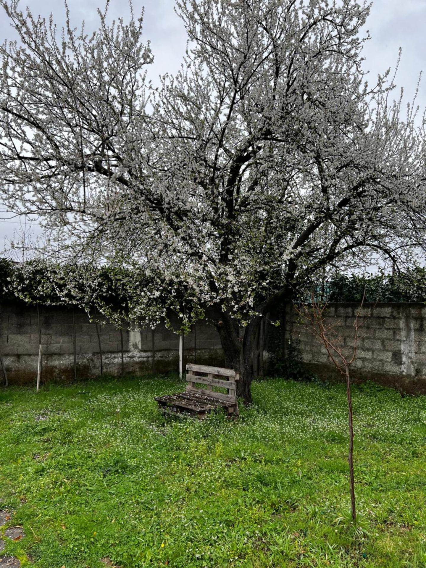 Chateau Sukaj - Photo 42