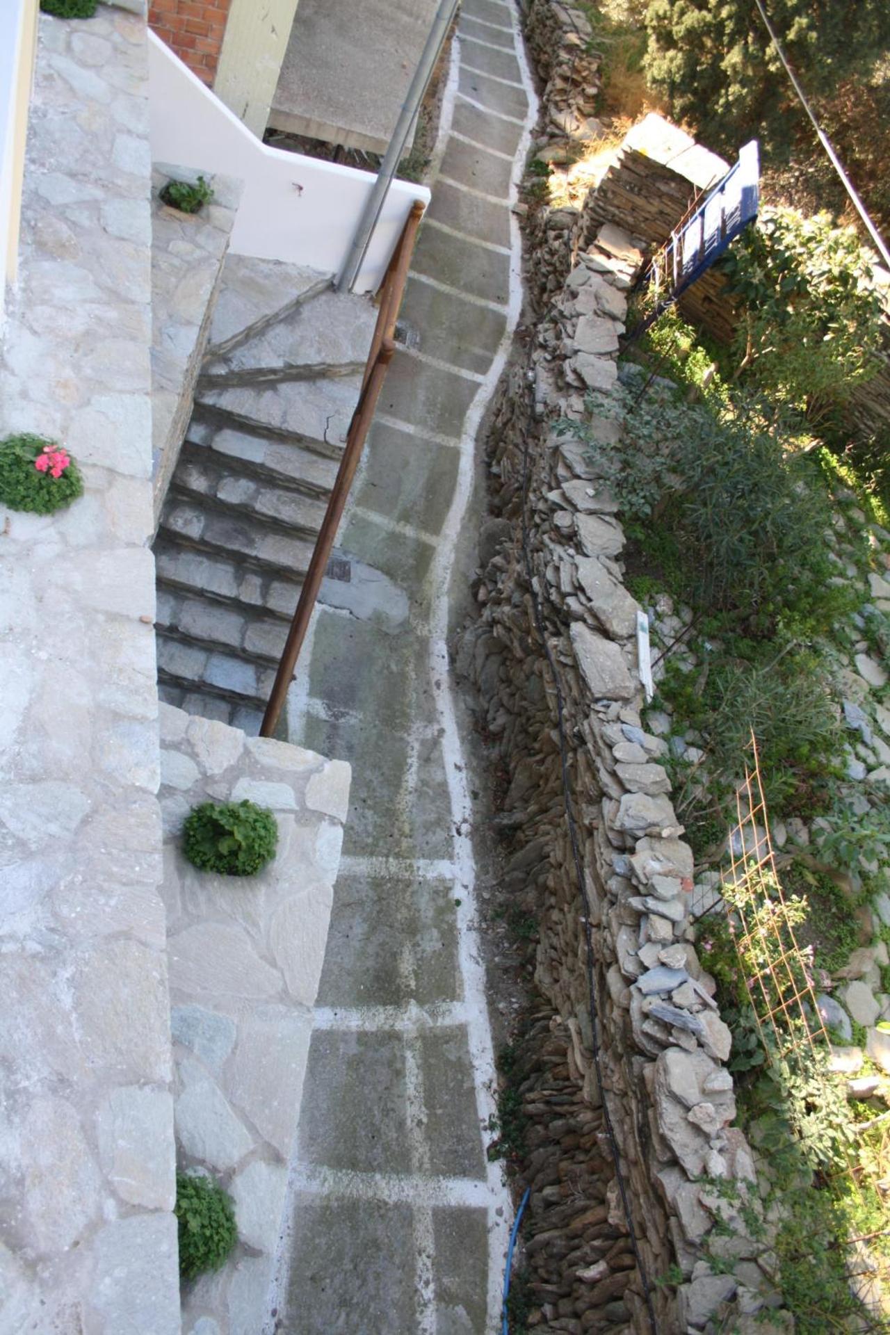 Amorani Studios - Photo 88