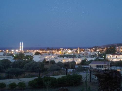 Telhinis Hotel & Apartments - Photo 41