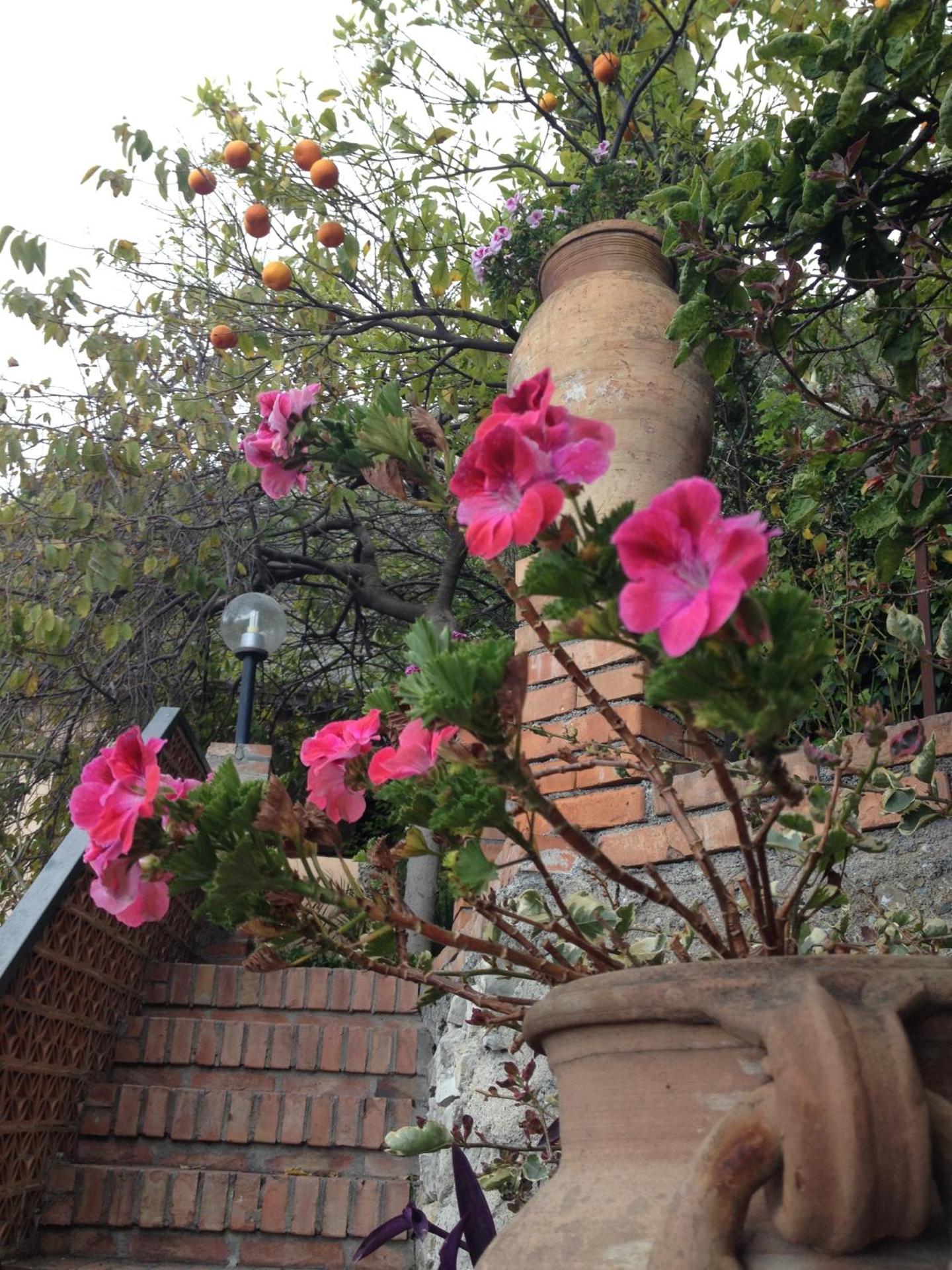 Villa Greta Hotel Rooms & Suites - Photo 111