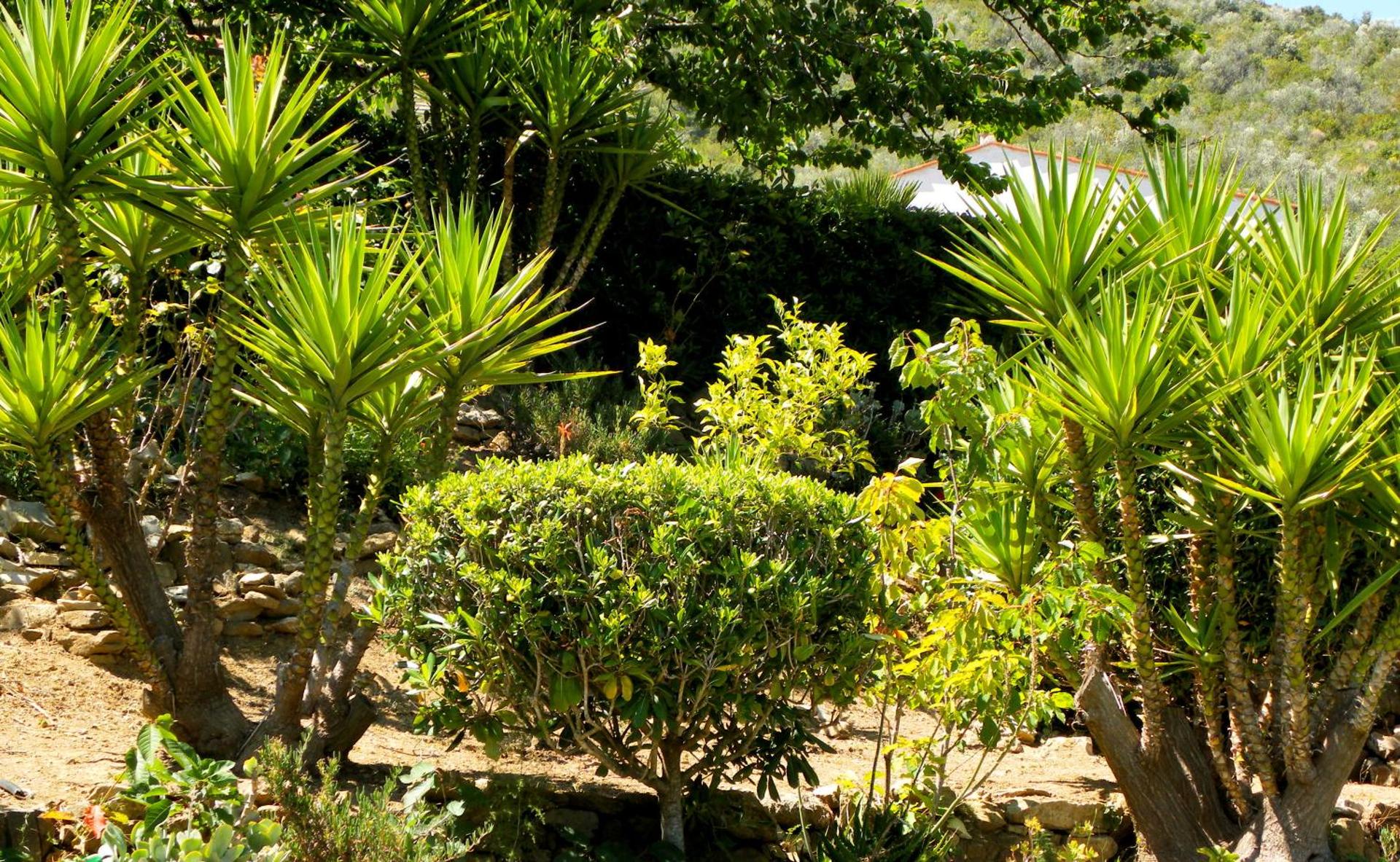 Hotel Il Caminetto - Photo 18