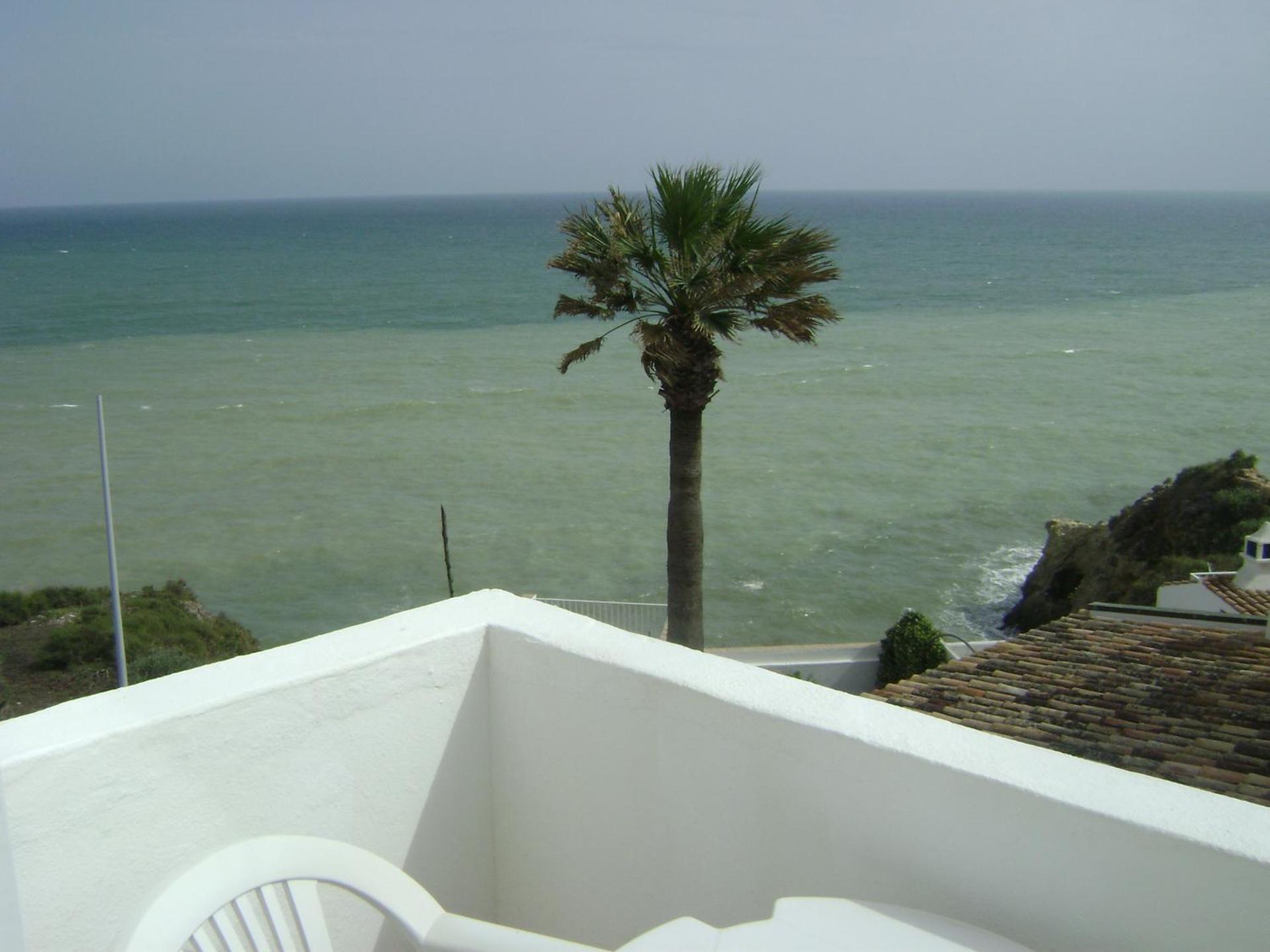 Frentomar - Photo 24