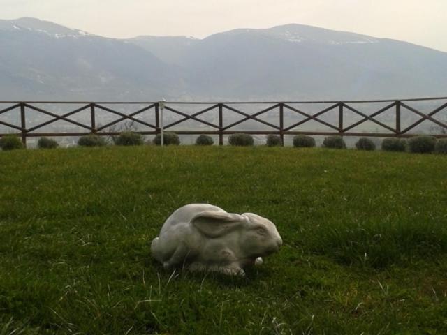 B&B Fonte Cugno - Photo 63