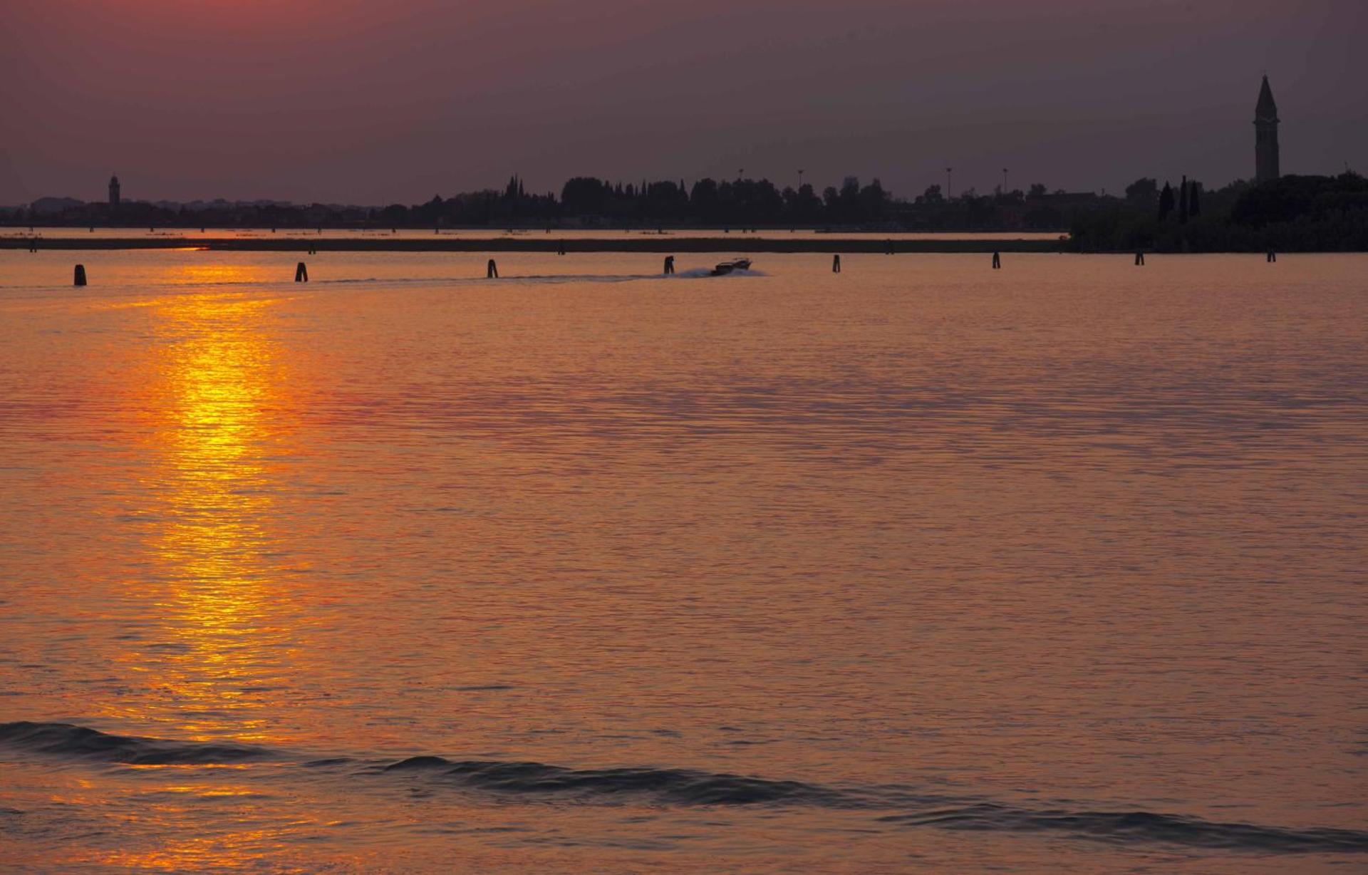 Antica Dogana - Photo 7