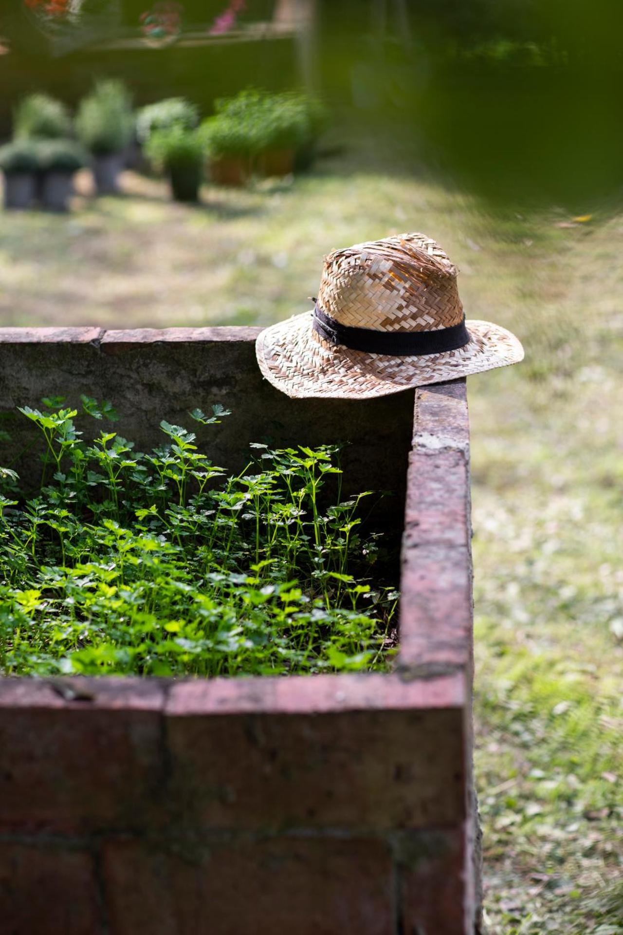 Boutique Wine Resort - Villa Dianella - Photo 82