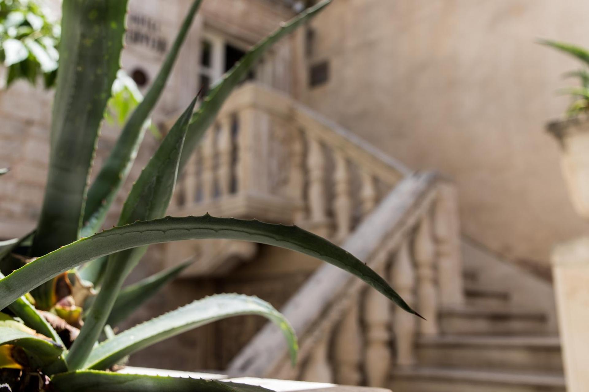 Slavija Culture Heritage Hotel - Photo 150