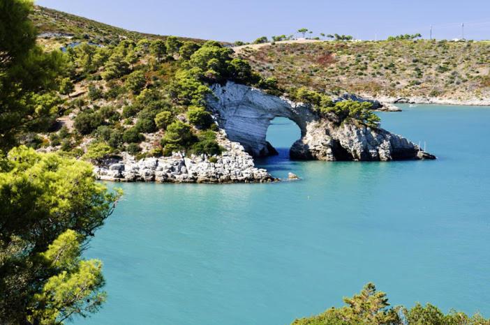 Il Pentagono - Photo 43