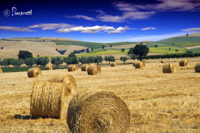 Il Pentagono - Photo 45