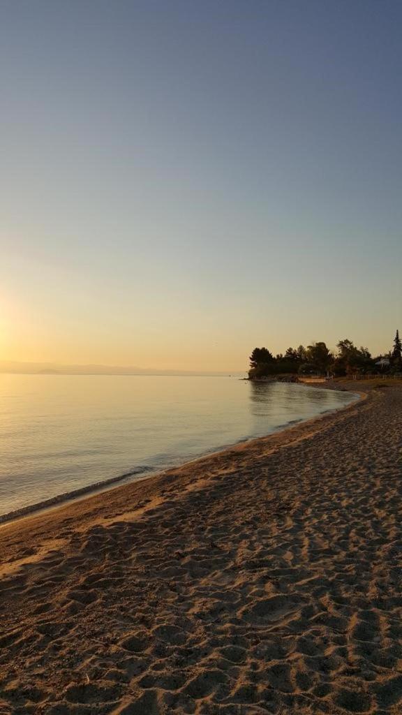 SUN RESIDENCE Exclusive Seaside Suites - Photo 49