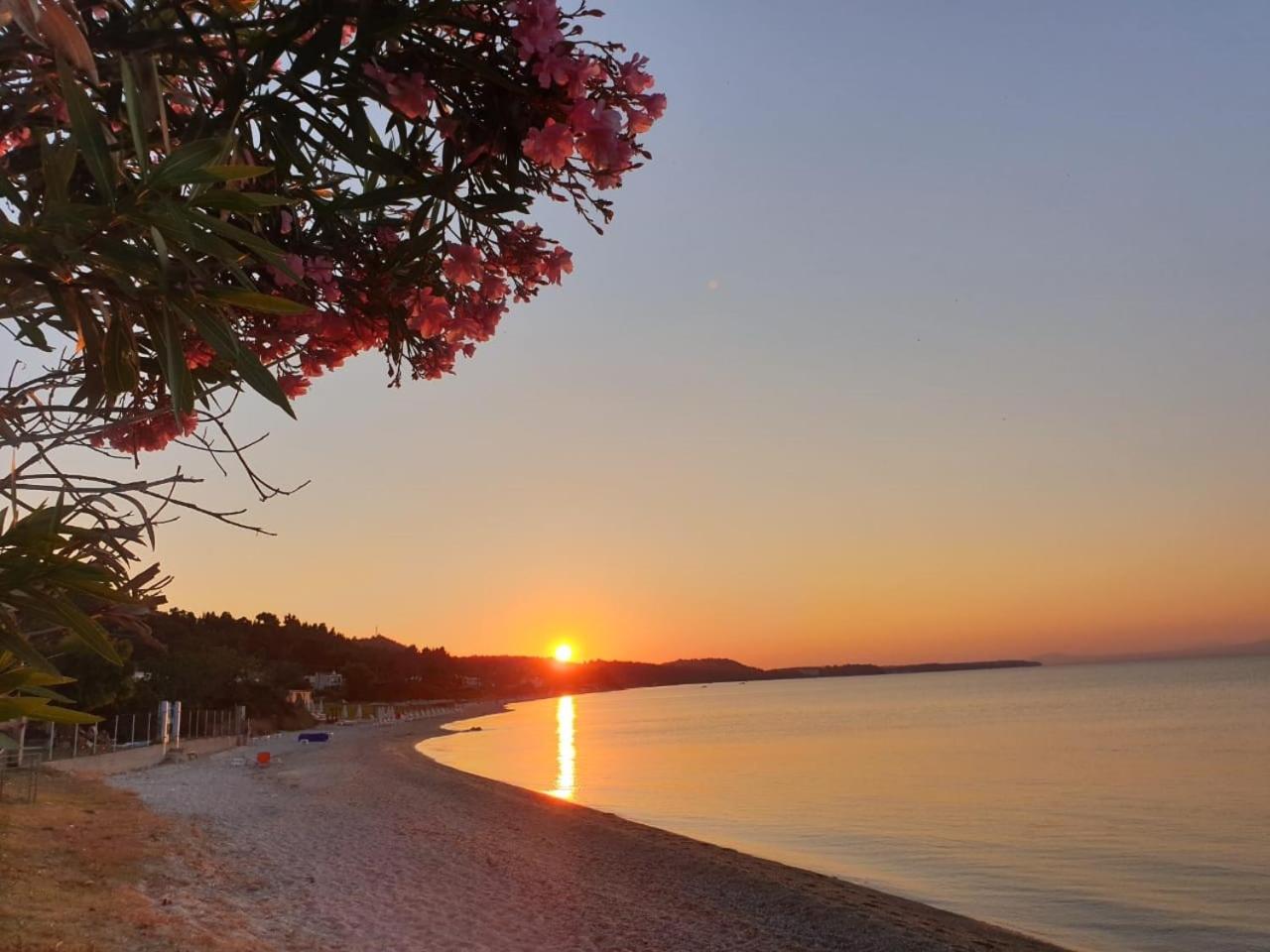 SUN RESIDENCE Exclusive Seaside Suites - Photo 44