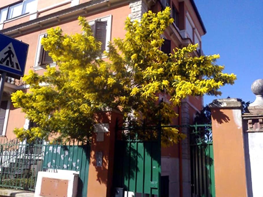 Appartamento Vaticano - Photo 7
