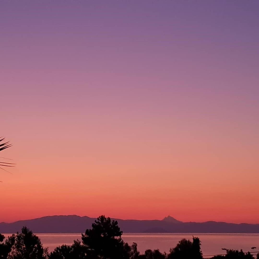 SUN RESIDENCE Exclusive Seaside Suites - Photo 108