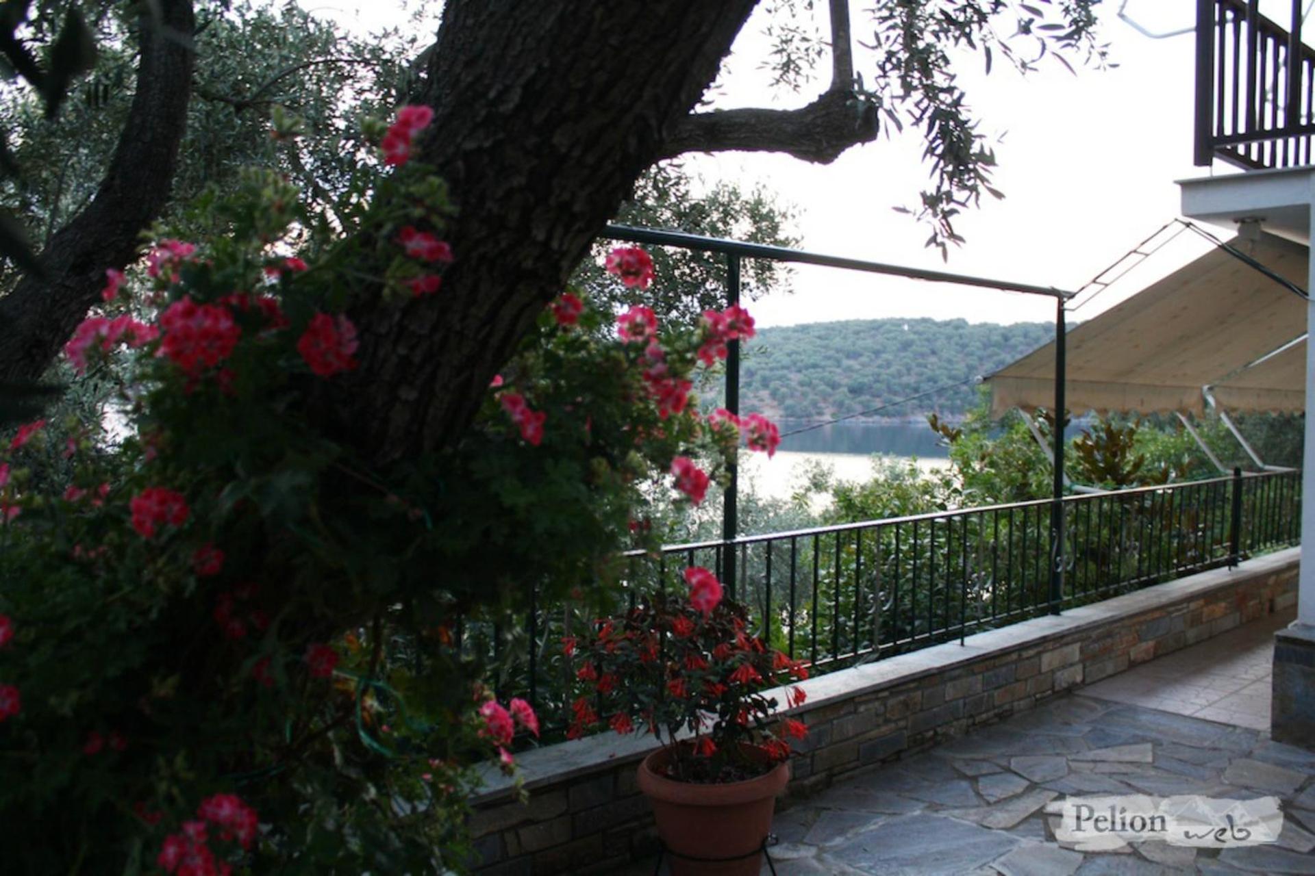Violetta Studios & Apartments - Photo 29