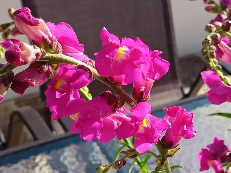 Smaragdas Paradise - Photo 64