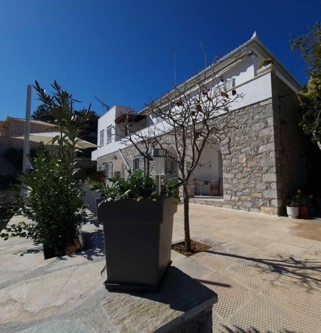 Smaragdas Paradise - Photo 43