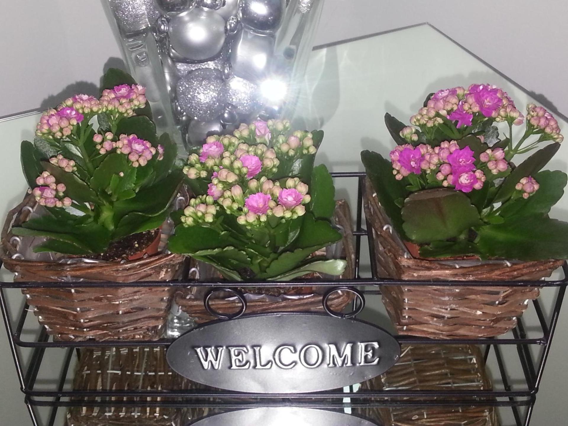 Hotel Nuovo Nord - Photo 29