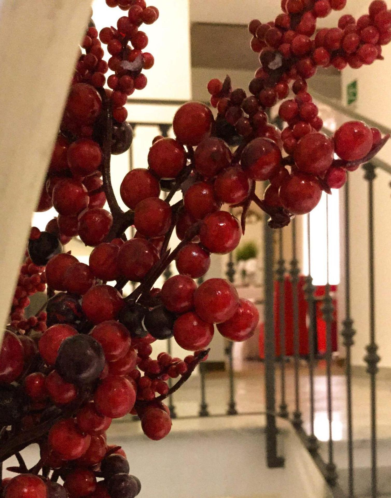 Hotel Nuovo Nord - Photo 34