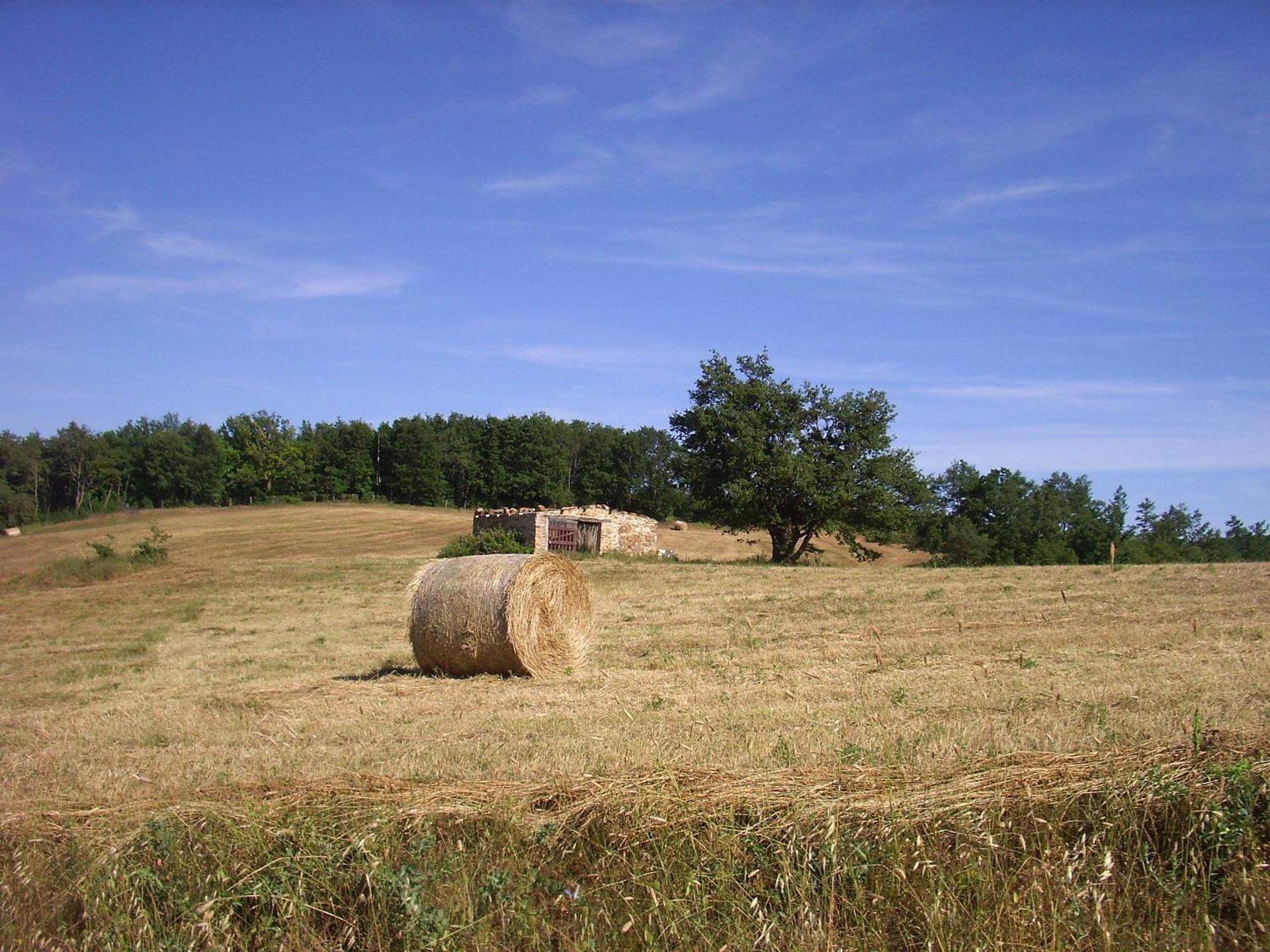 Agriturismo Bio Le Macchie Alte - Photo 10