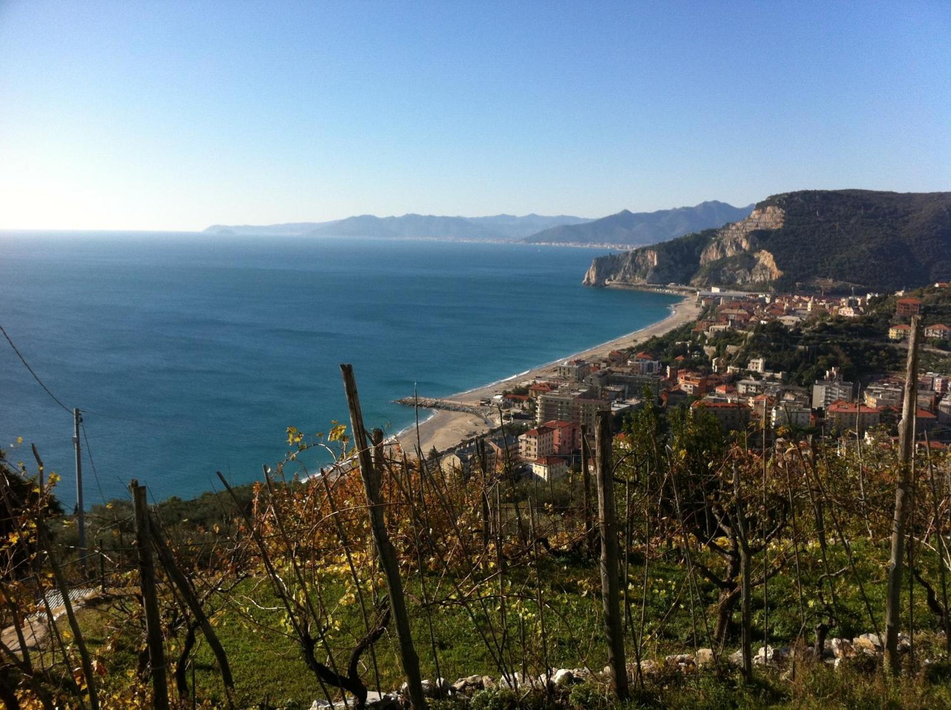 Residence Holidays - Photo 242