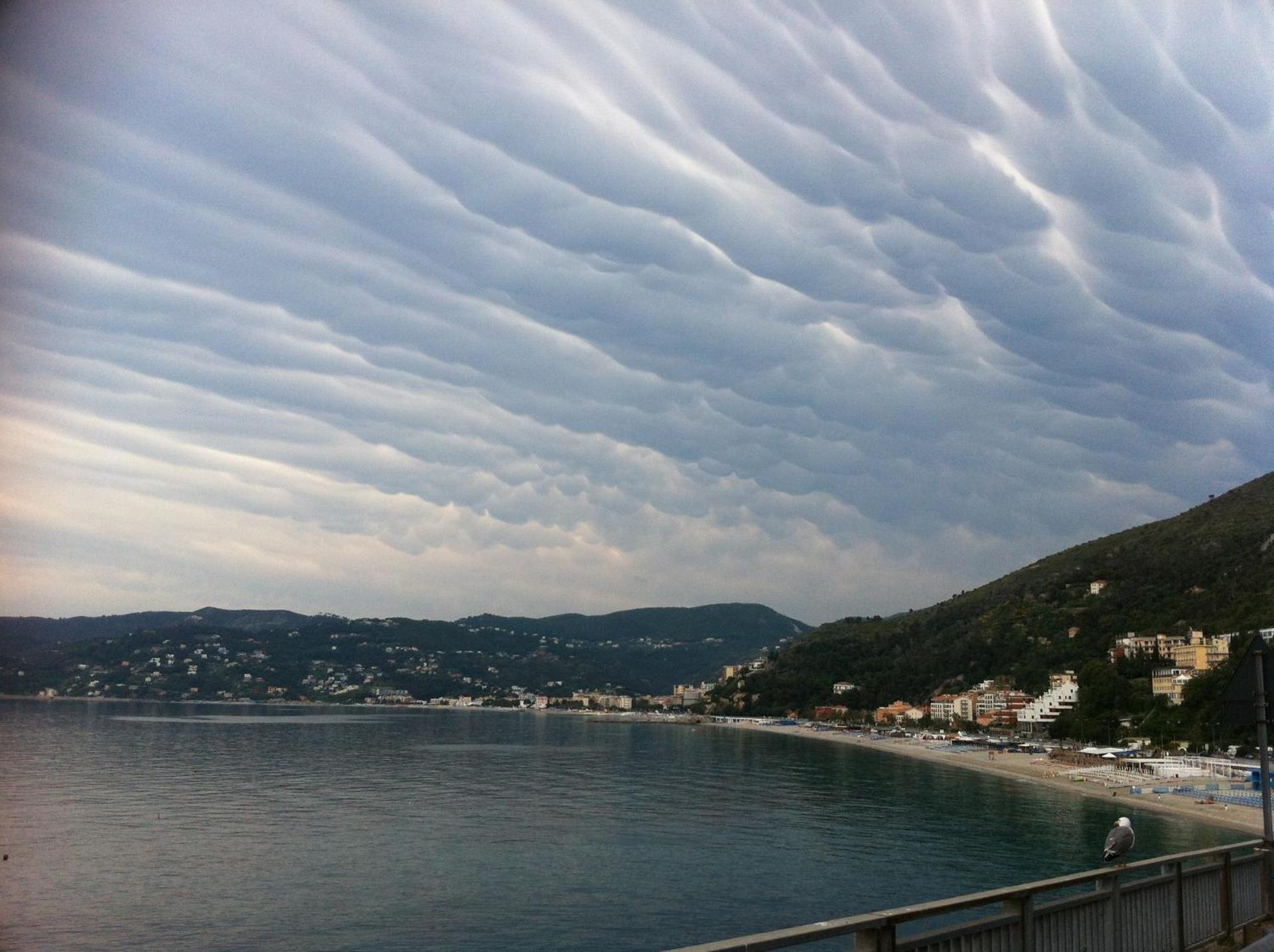 Residence Holidays - Photo 244