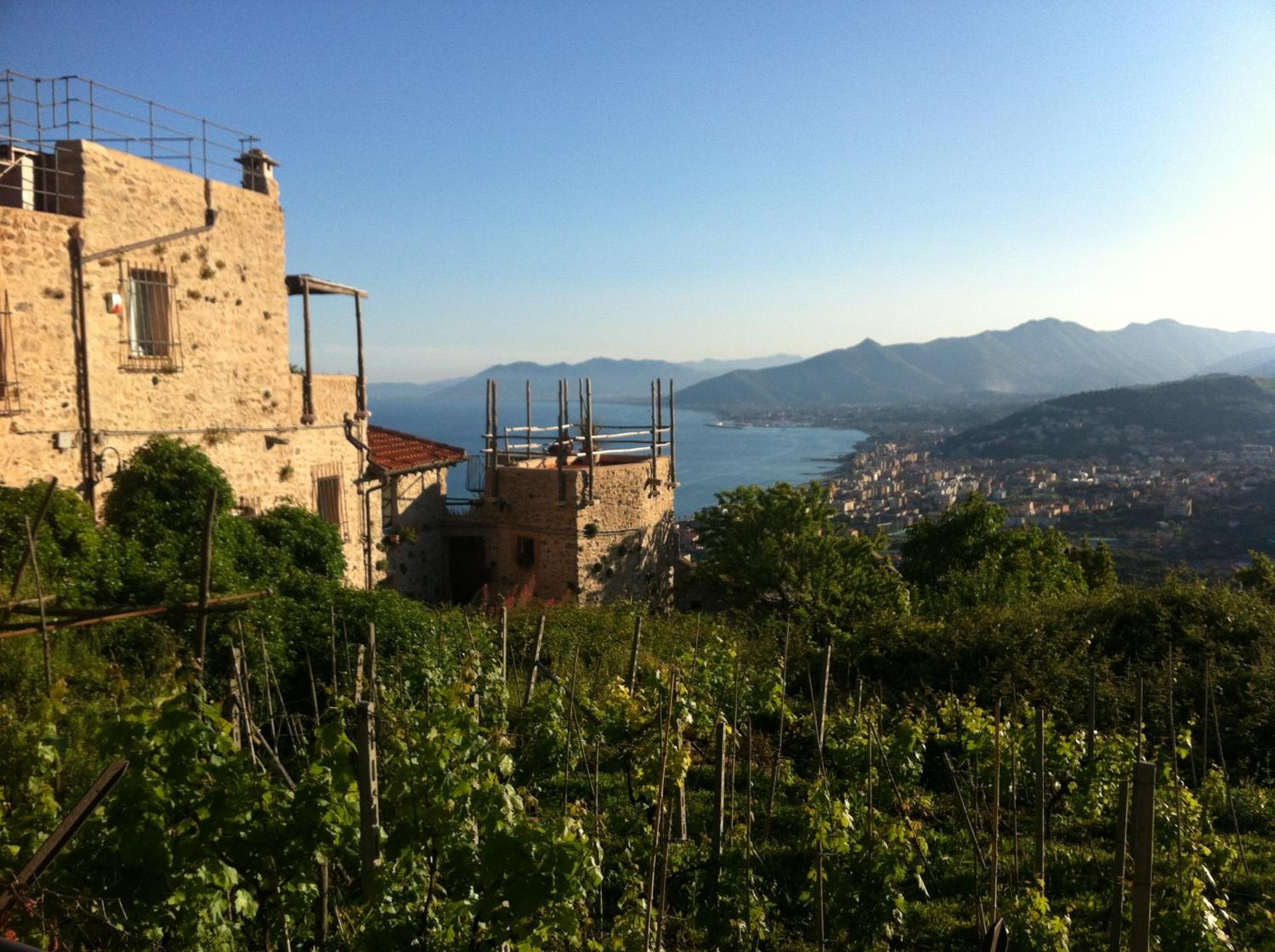 Residence Holidays - Photo 249